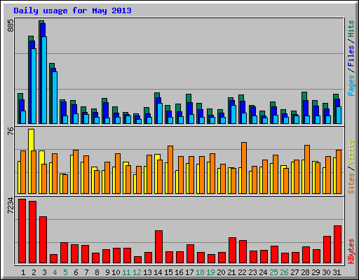 Daily usage for May 2013