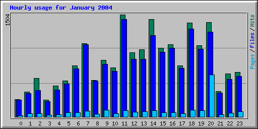 Hourly usage for January 2004