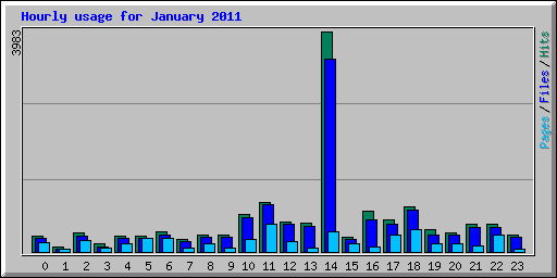 Hourly usage for January 2011