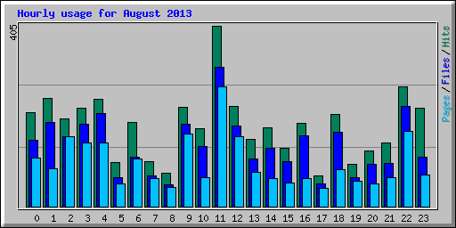 Hourly usage for August 2013