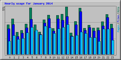 Hourly usage for January 2014