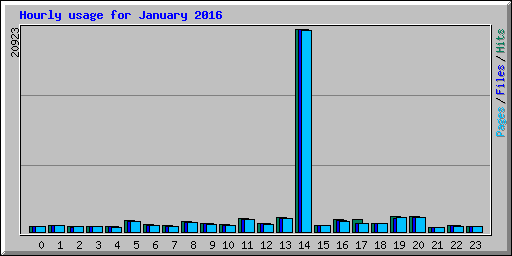 Hourly usage for January 2016