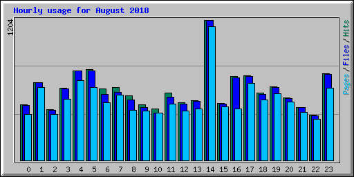 Hourly usage for August 2018