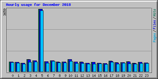 Hourly usage for December 2018