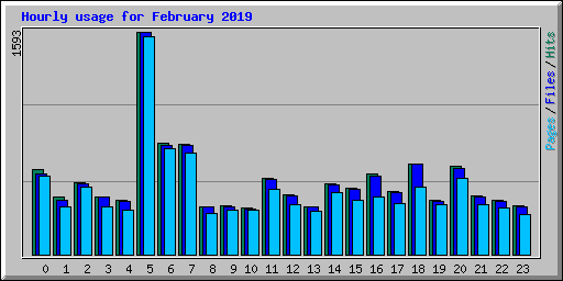 Hourly usage for February 2019