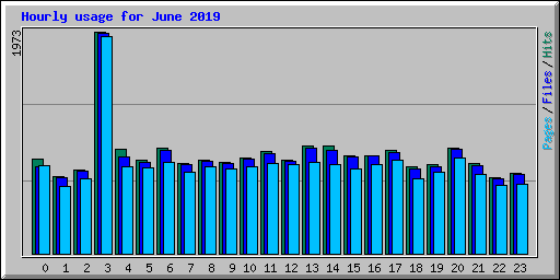 Hourly usage for June 2019