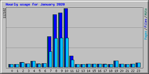 Hourly usage for January 2020